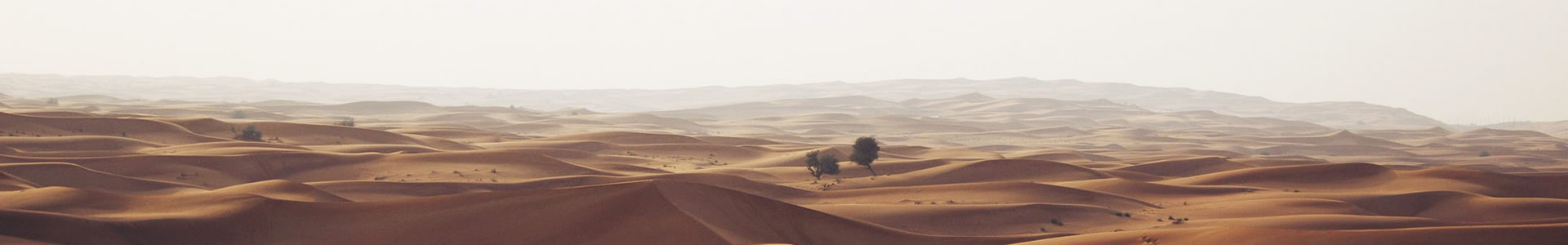 ½ũƼɷ޹˾